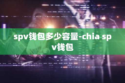 spv钱包多少容量-chia spv钱包