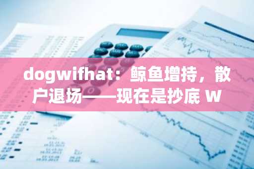 dogwifhat：鲸鱼增持，散户退场——现在是抄底 WIF 的最佳时机吗？