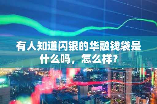 有人知道闪银的华融钱袋是什么吗，怎么样？