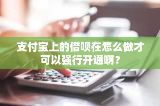 支付宝上的借呗在怎么做才可以强行开通啊？