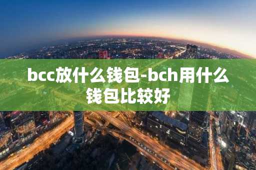 bcc放什么钱包-bch用什么钱包比较好