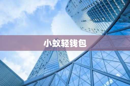 小蚁轻钱包