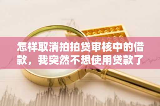 怎样取消拍拍贷审核中的借款，我突然不想使用贷款了