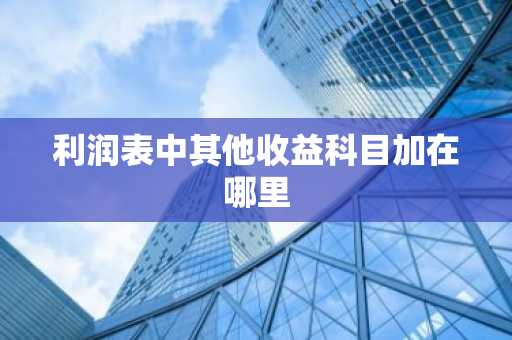 利润表中其他收益科目加在哪里