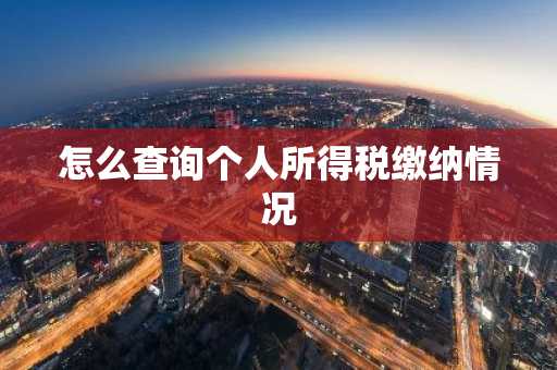 怎么查询个人所得税缴纳情况