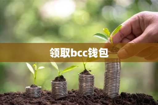 领取bcc钱包