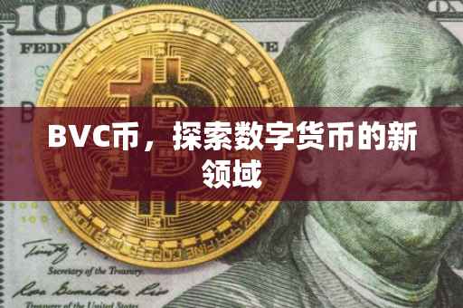 BVC币，探索数字货币的新领域