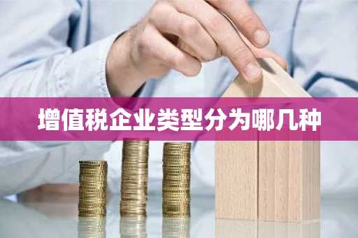 增值税企业类型分为哪几种