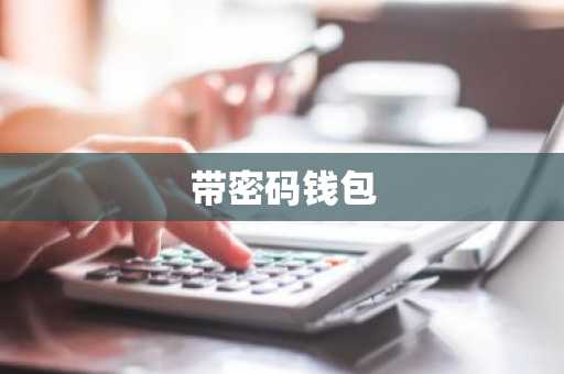 带密码钱包