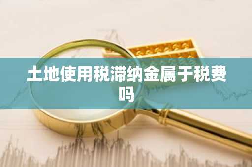 土地使用税滞纳金属于税费吗