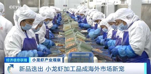 旺季来临销量明显增加 小龙虾加工品成海外市场新宠