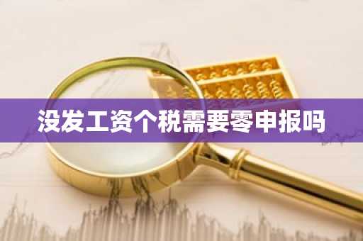 没发工资个税需要零申报吗
