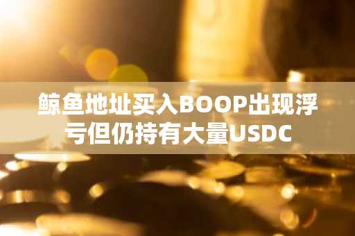 鲸鱼地址买入BOOP出现浮亏但仍持有大量USDC