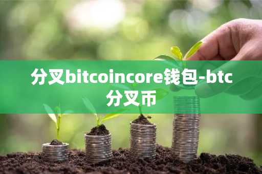 分叉bitcoincore钱包-btc分叉币