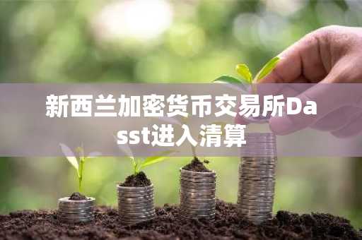 新西兰加密货币交易所Dasst进入清算