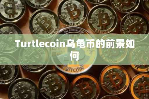 Turtlecoin乌龟币的前景如何