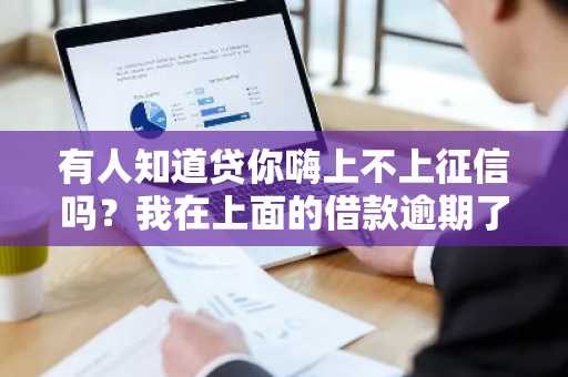 有人知道贷你嗨上不上征信吗？我在上面的借款逾期了。