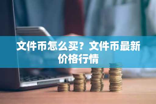 文件币怎么买？文件币最新价格行情