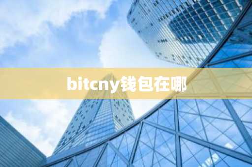 bitcny钱包在哪