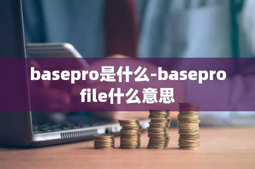 basepro是什么-baseprofile什么意思