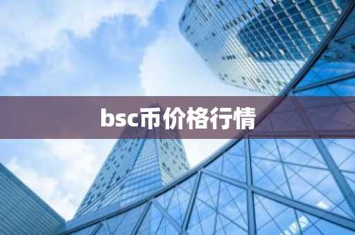 bsc币价格行情