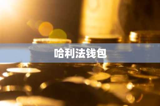 哈利法钱包