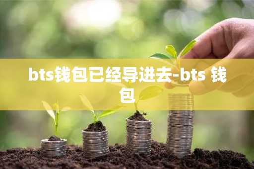 bts钱包已经导进去-bts 钱包