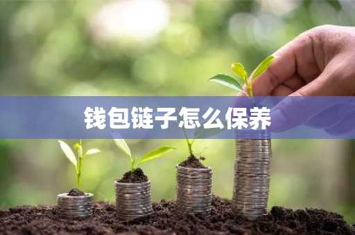钱包链子怎么保养
