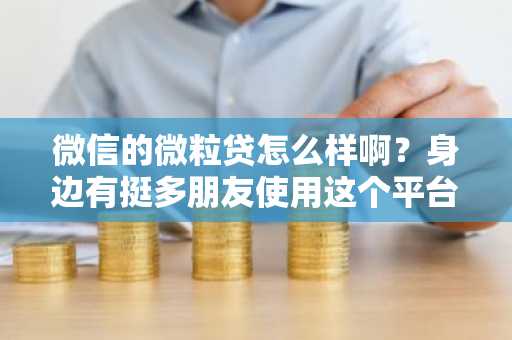 微信的微粒贷怎么样啊？身边有挺多朋友使用这个平台贷款的。
