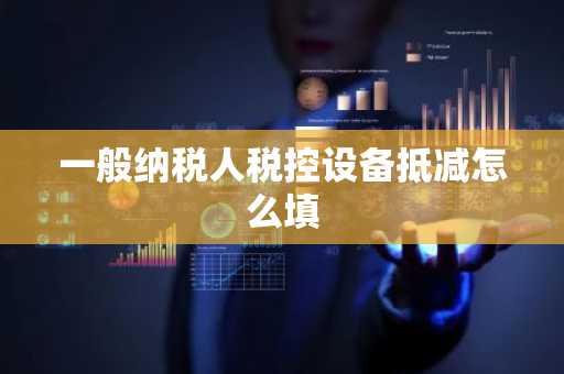 一般纳税人税控设备抵减怎么填