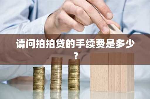 请问拍拍贷的手续费是多少？