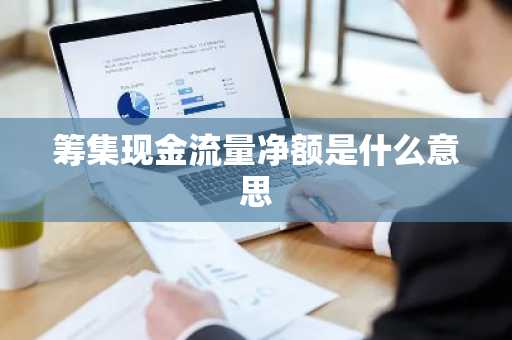 筹集现金流量净额是什么意思