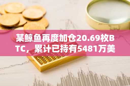 某鲸鱼再度加仓20.69枚BTC，累计已持有5481万美元比特币