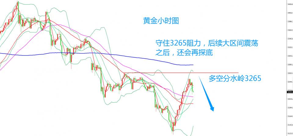齐仲龙：黄金，假下跌真洗盘