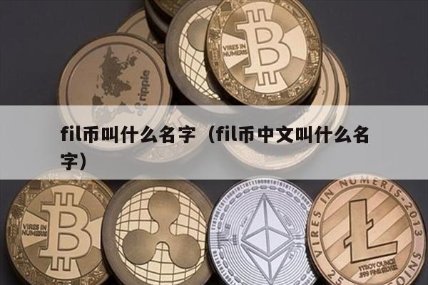 fil币叫什么名字（fil币中文叫什么名字）