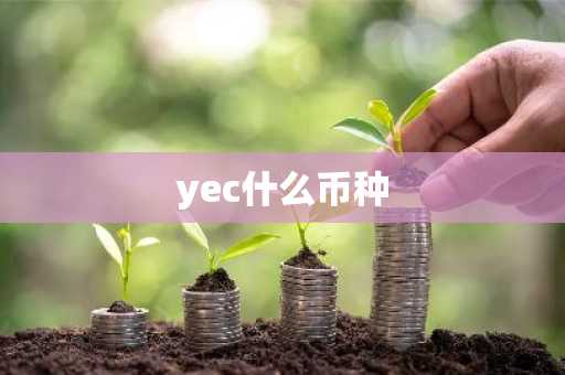 yec什么币种