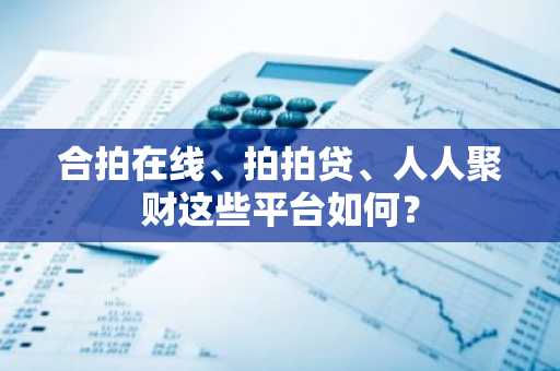 合拍在线、拍拍贷、人人聚财这些平台如何？