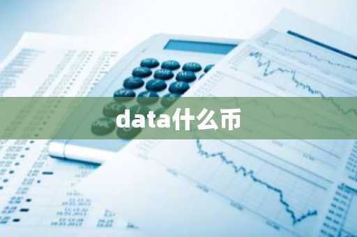 data什么币
