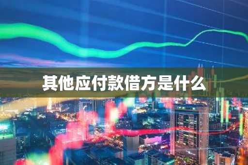 其他应付款借方是什么