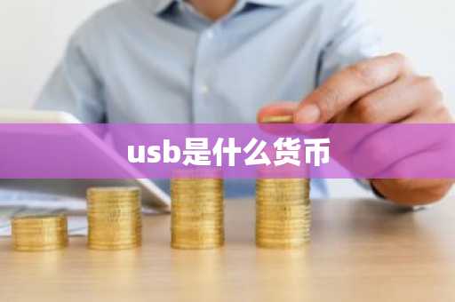 usb是什么货币
