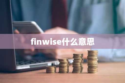 finwise什么意思