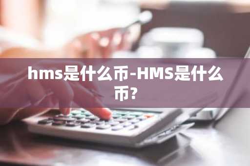 hms是什么币-HMS是什么币?