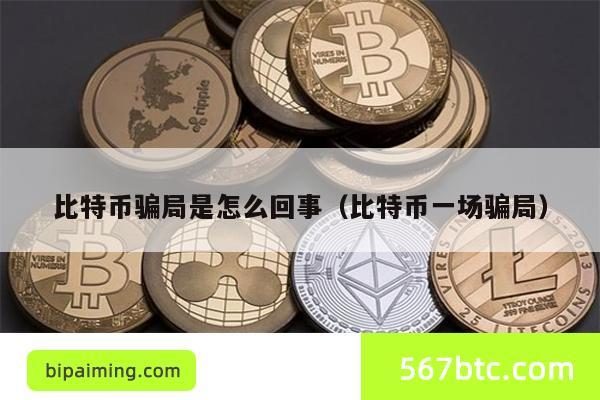 比特币骗局是怎么回事（比特币一场骗局）