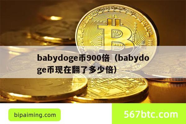 babydoge币900倍（babydoge币现在翻了多少倍）