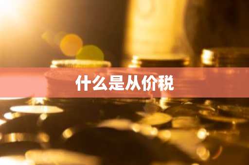 什么是从价税