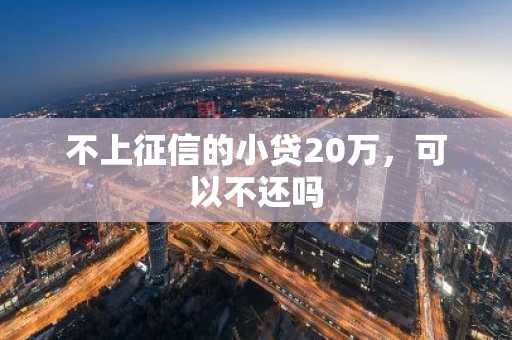 不上征信的小贷20万，可以不还吗