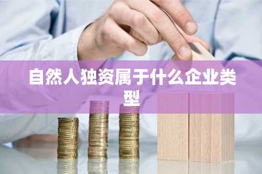 自然人独资属于什么企业类型