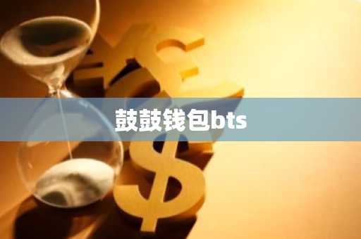 鼓鼓钱包bts