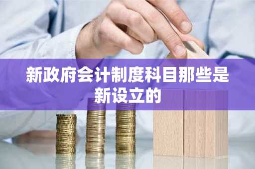 新政府会计制度科目那些是新设立的