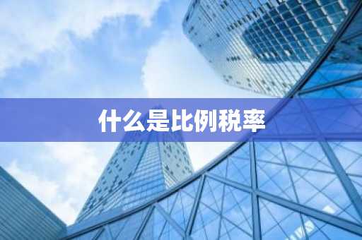 什么是比例税率